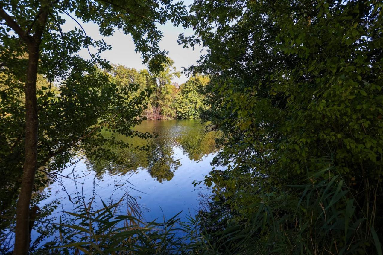 Le Saint Martin #Centre Ville #Charente #6Pers Cognac Ngoại thất bức ảnh